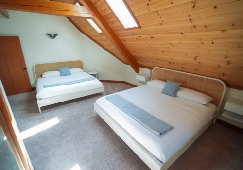 bba55868-2528-496d-821a-c618b44ca208